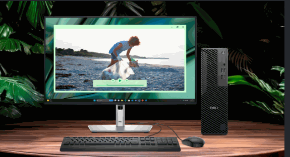 Dell Pro Max 小型工作站